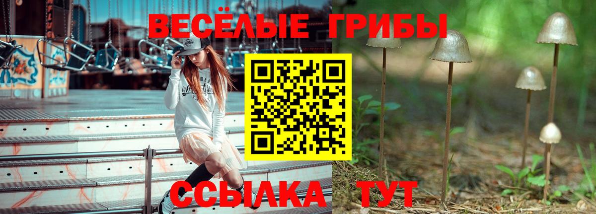 Галлюциногенные грибы Psilocybe  Псилоцибиновые грибы MAGIC MUSHROOMS  Якутск  Вход с VPN 
